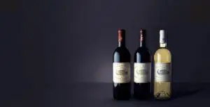 Les atouts des grands vins margaux pour vos apérots